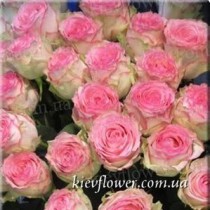 rose Esperance